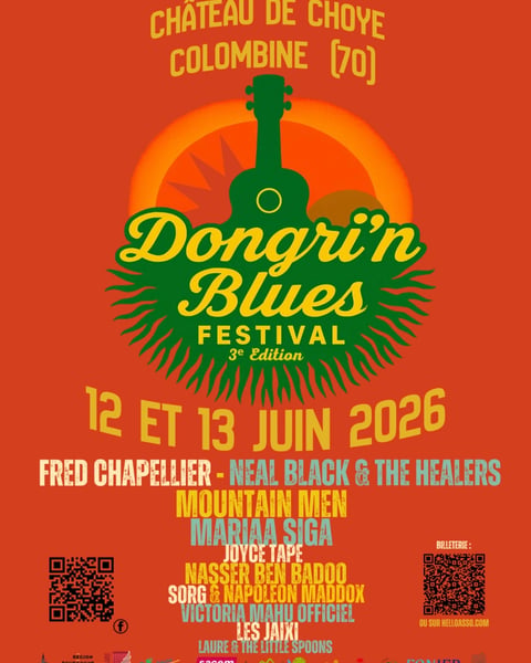 Dongri’n Blues Festival