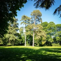 Le parc du Château de Ray-sur-Saône et ses détails
