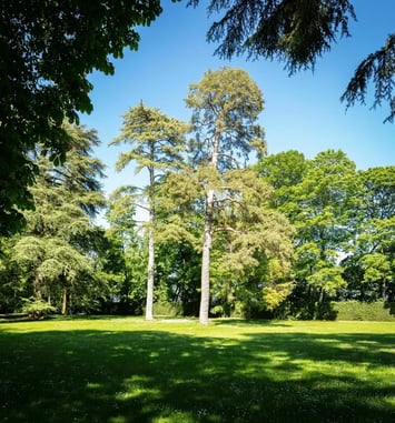 Le parc du Château de Ray-sur-Saône et ses détails