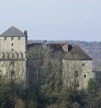 Visites guidées et animations historiques au château de Valleroy
