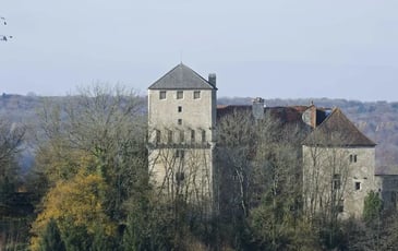 Visites guidées et animations historiques au château de Valleroy