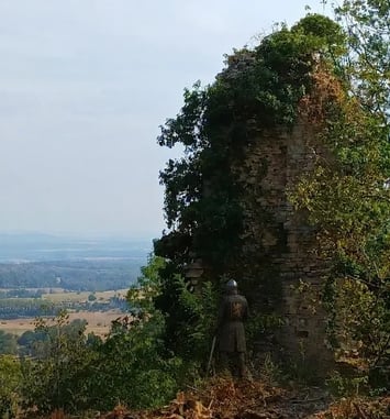 Visite commentée du site des ruines du château médiéval d'Oiselay