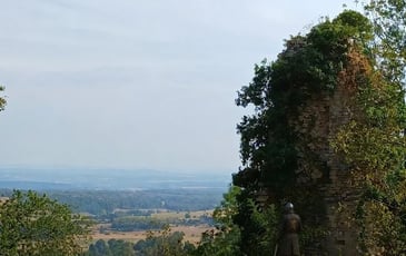 Visite commentée du site des ruines du château médiéval d'Oiselay