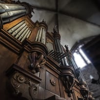 Concert d'Orgue à la Basilique Saint-Pierre-et-Saint-Paul